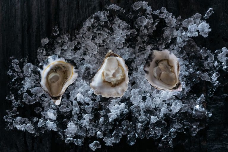 Insight into the renowned 6HEAD Oyster Appellation Program