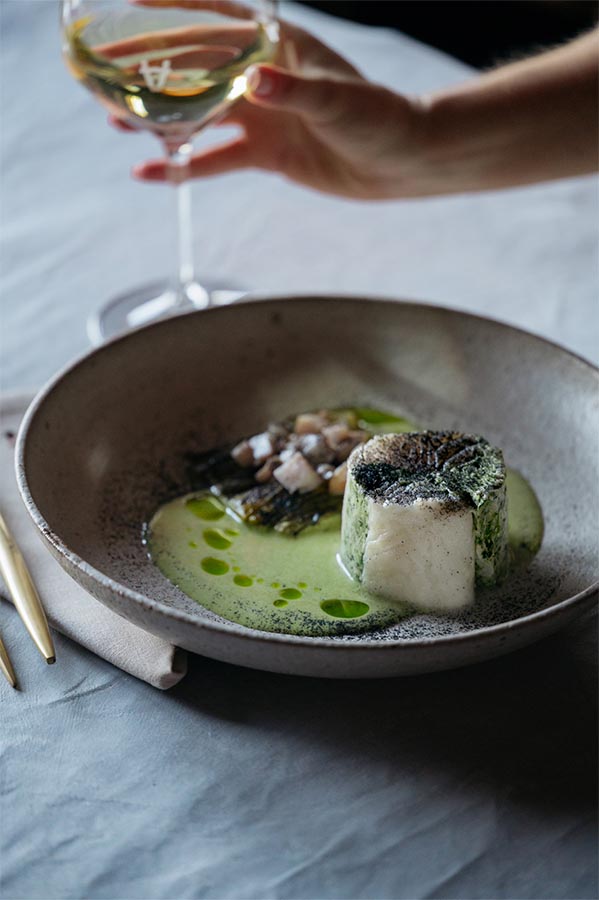 Toothfish