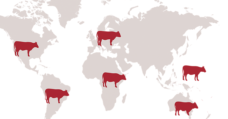 cow-map